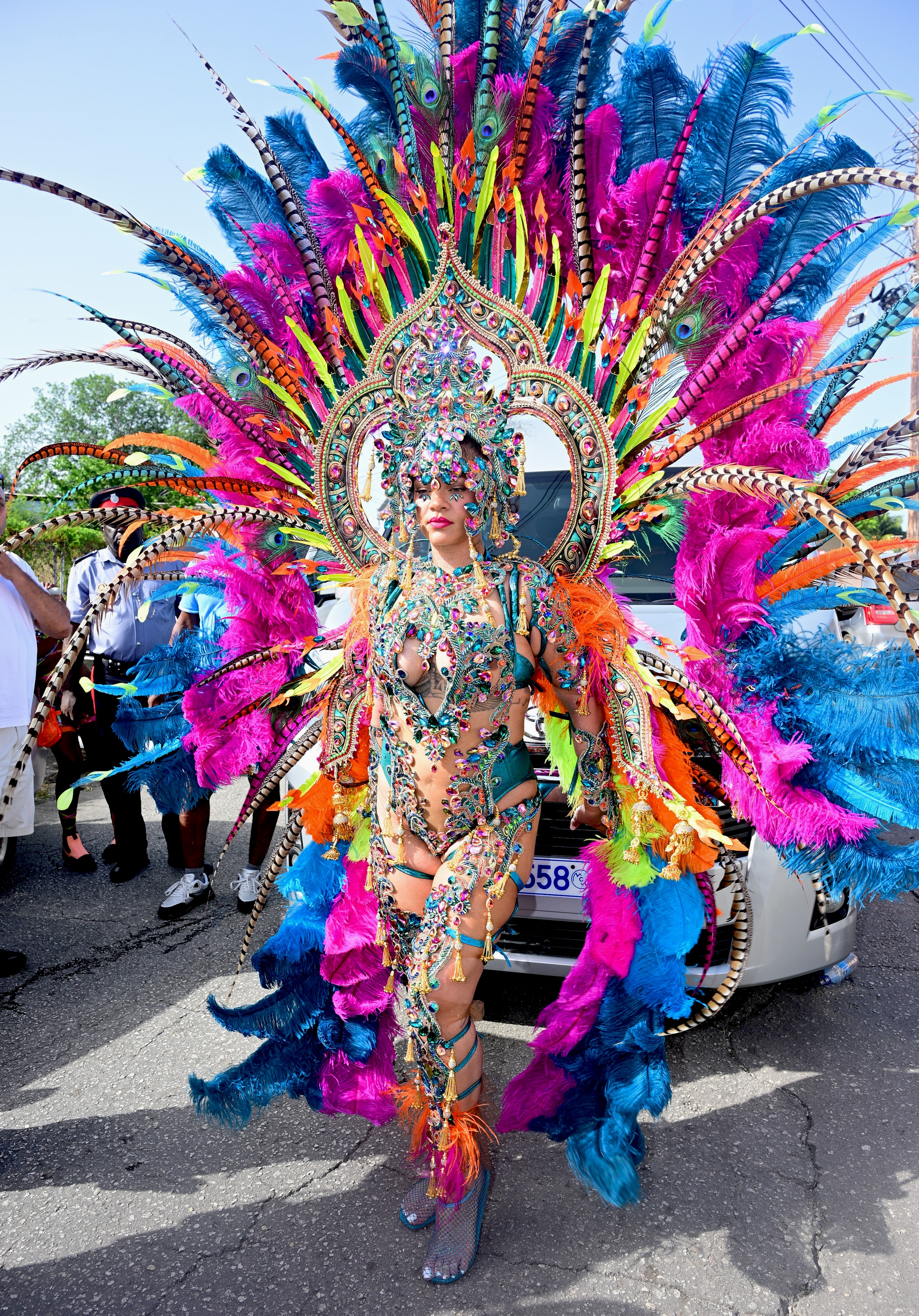 Singer Rihanna gets into the Carnival spirit as she rocks a full carnival costume while attending Grand Kadooment Day in Barbados, partying with her brother's band Aura.