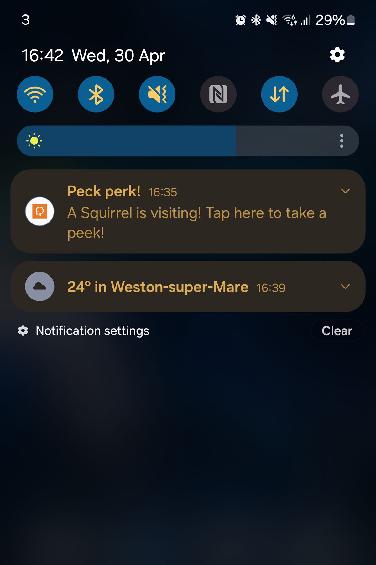 PeckPerk bird camera review