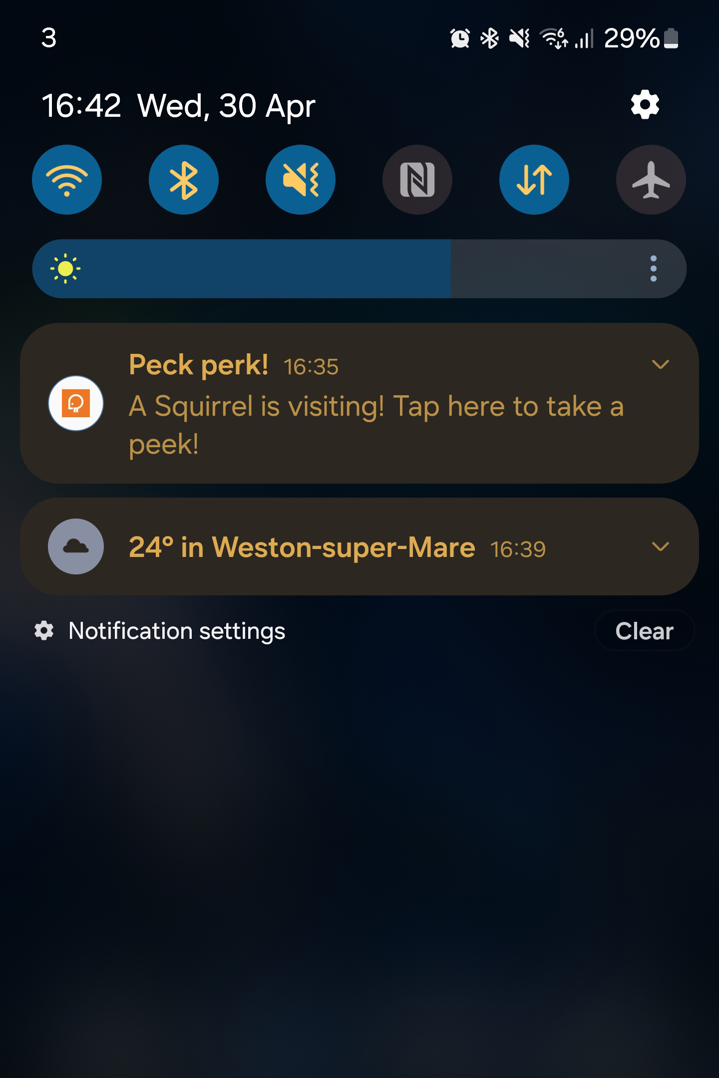 PeckPerk bird camera review