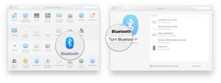 Click on Bluetooth and then click on the Turn On Bluetooth button.