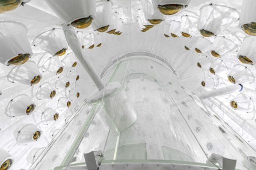 World’s most sensitive dark matter detector delivers 1st results – Space.com