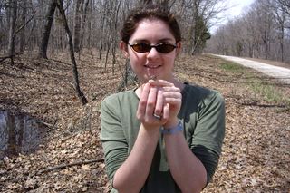 NIMBios postdoctoral fellow Julia Earl used mathematical modeling to investigate how ranavirus affects isolated frog populations at different stages in their life cycles. 