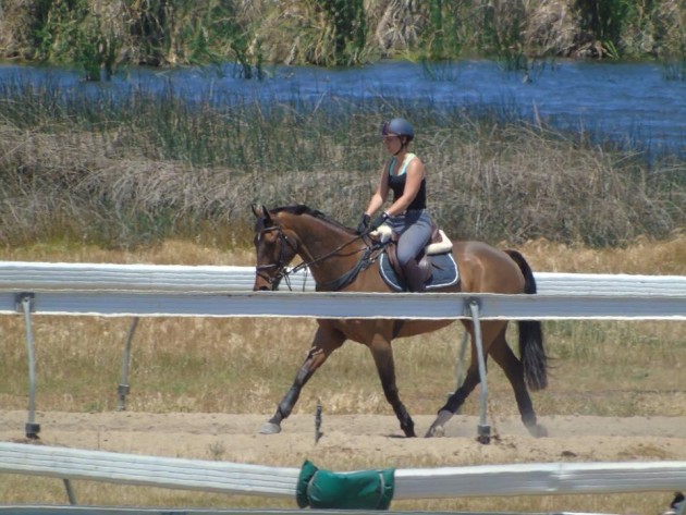 Working on the racecourse