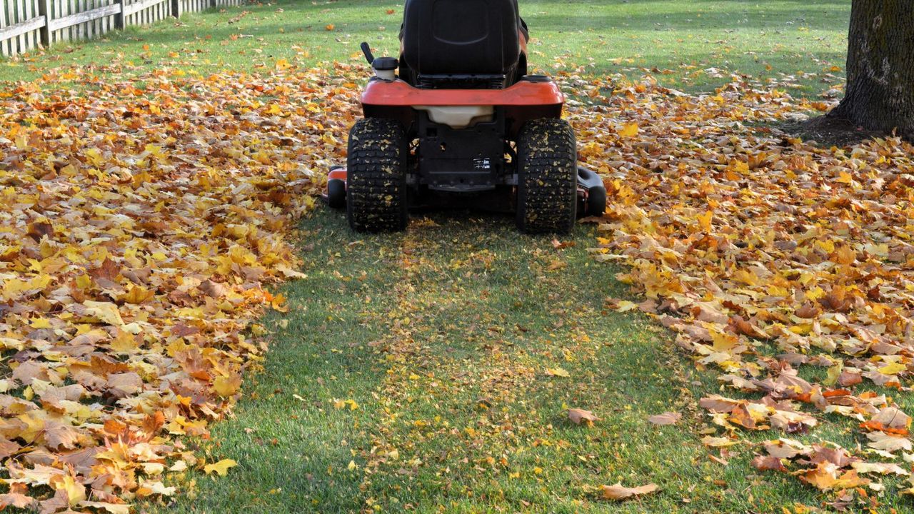 A lawn mower mulching fallen leaves 