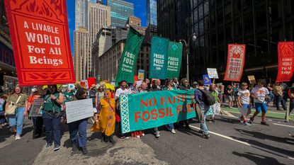Climate protesters in New York