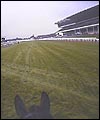 cheltenhamvideoth.jpg