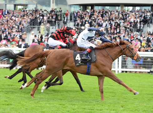 Royal Ascot 2014 — Wednesday 18 June