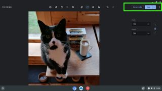 Screenshot showing how to resize an image in Chrome - save