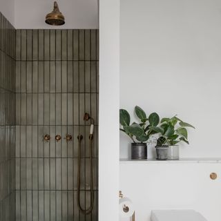 bathroom with plants and shower