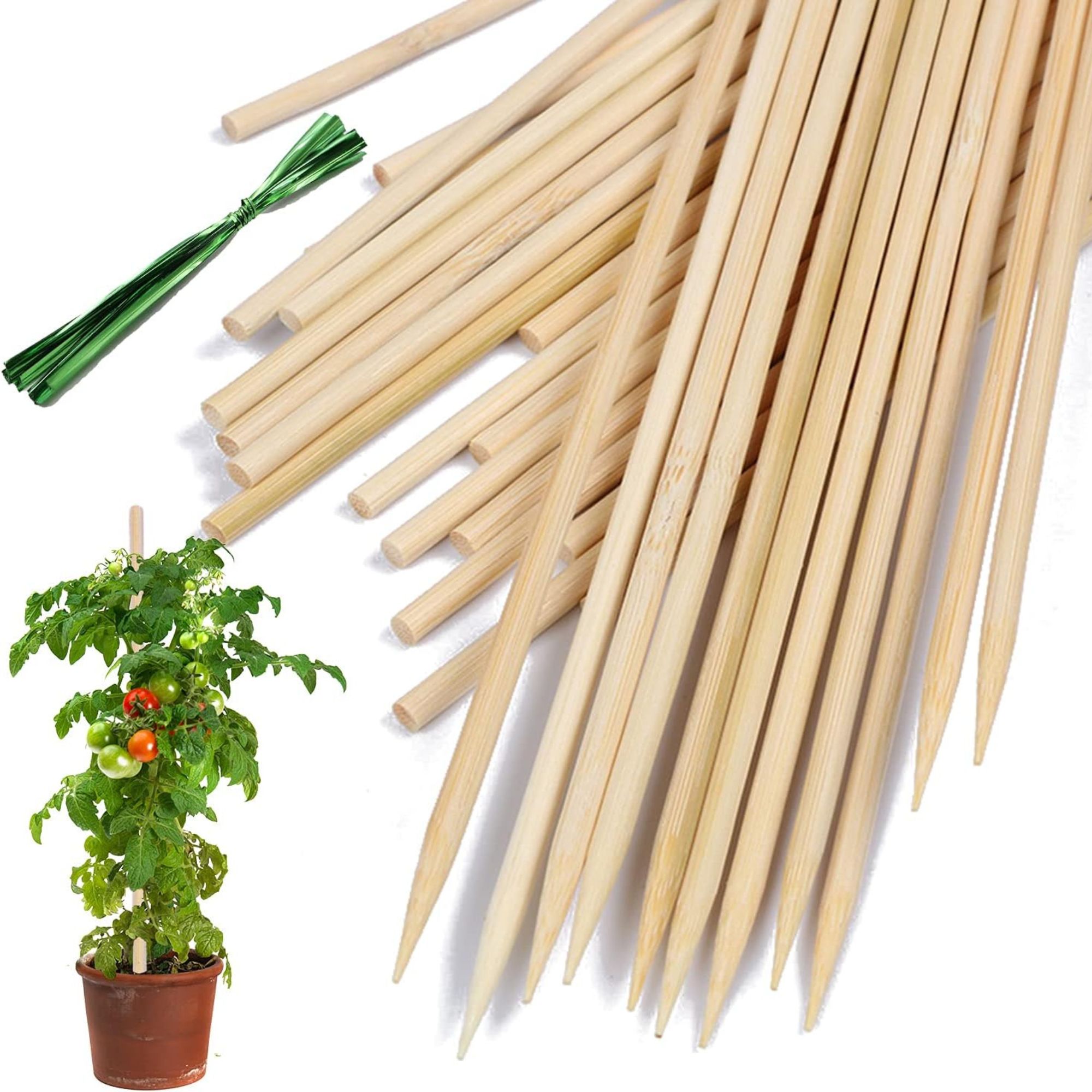 Bamboo Plant Stakes