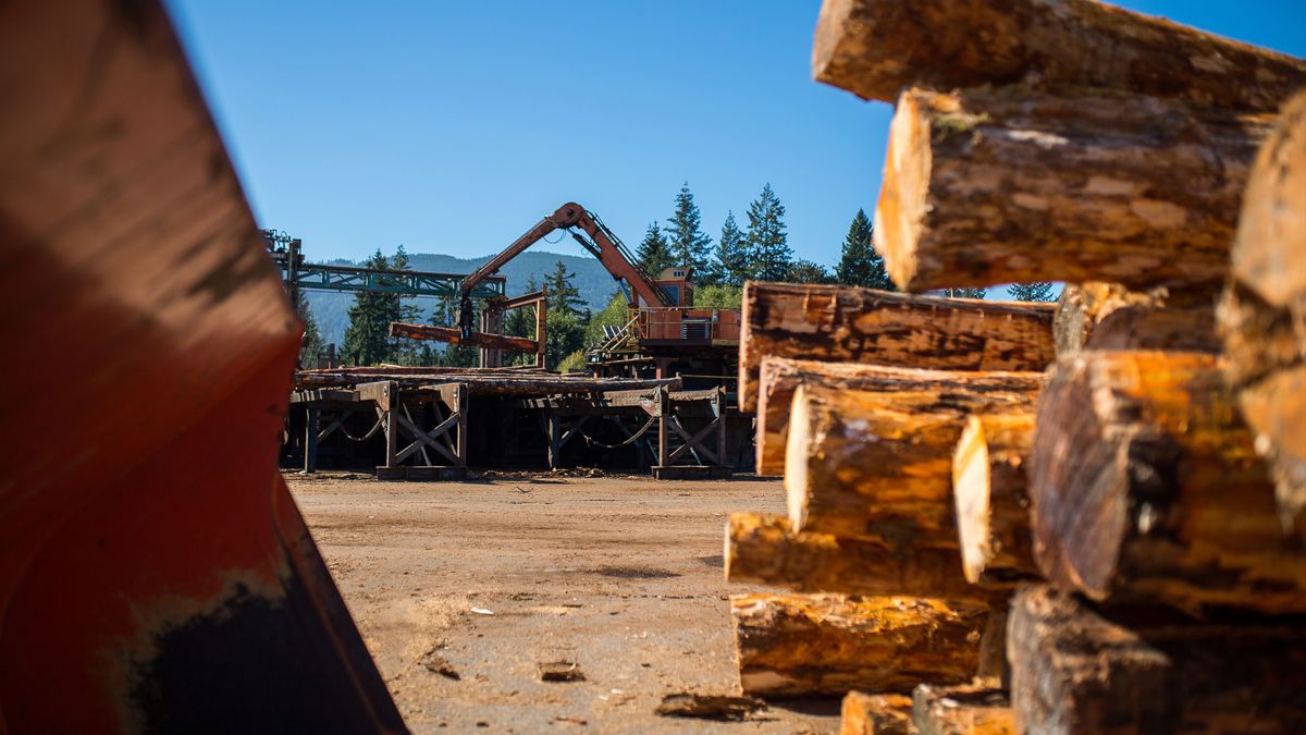 Work at a lumber yard.