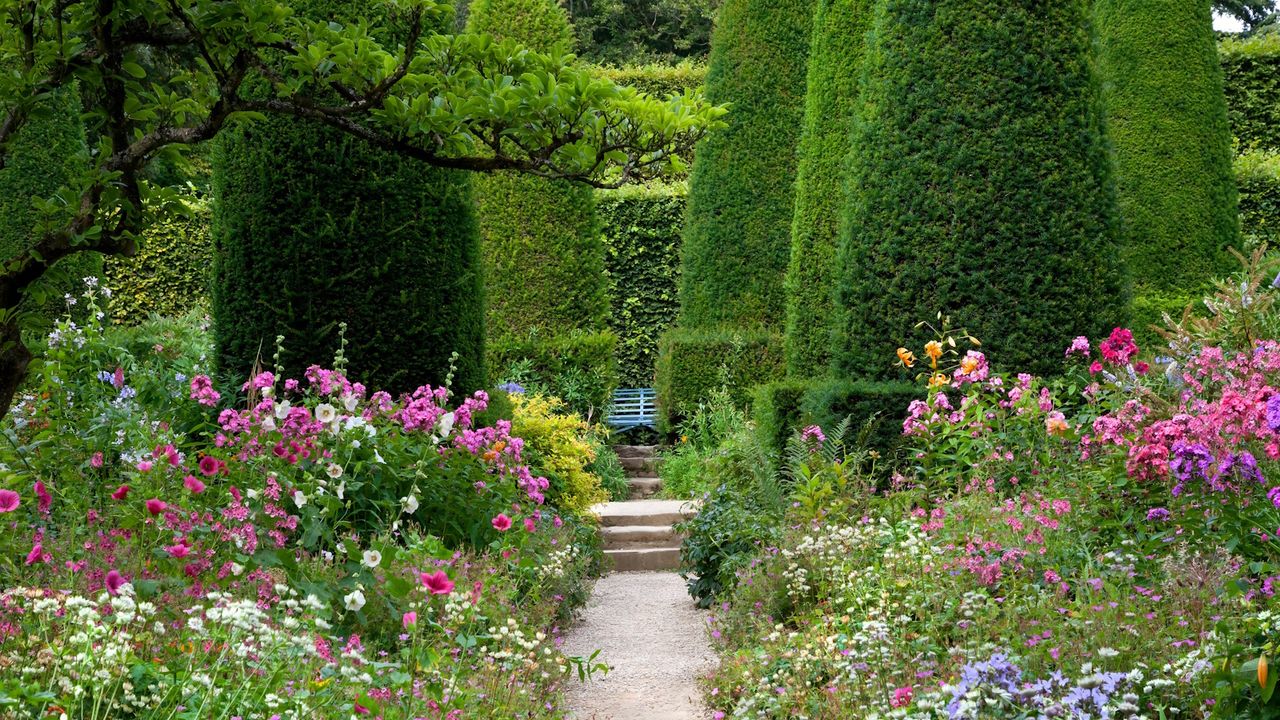 English garden in summer