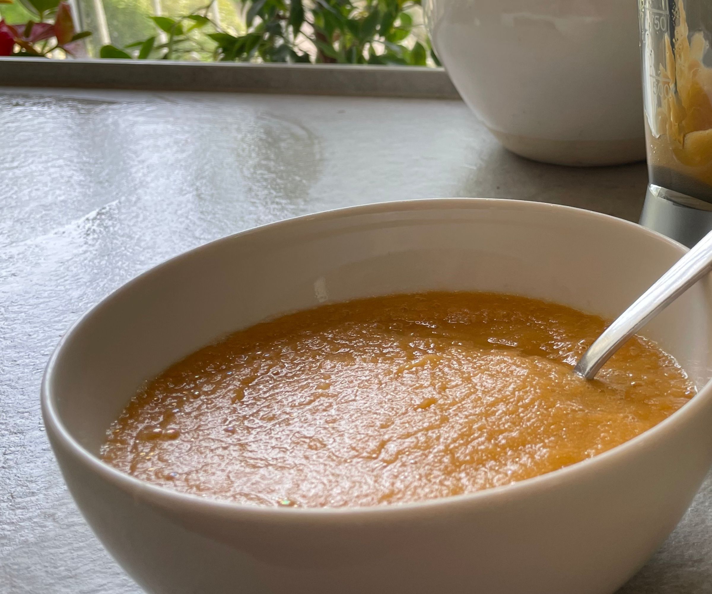 Bamix immersion blender carrot soup