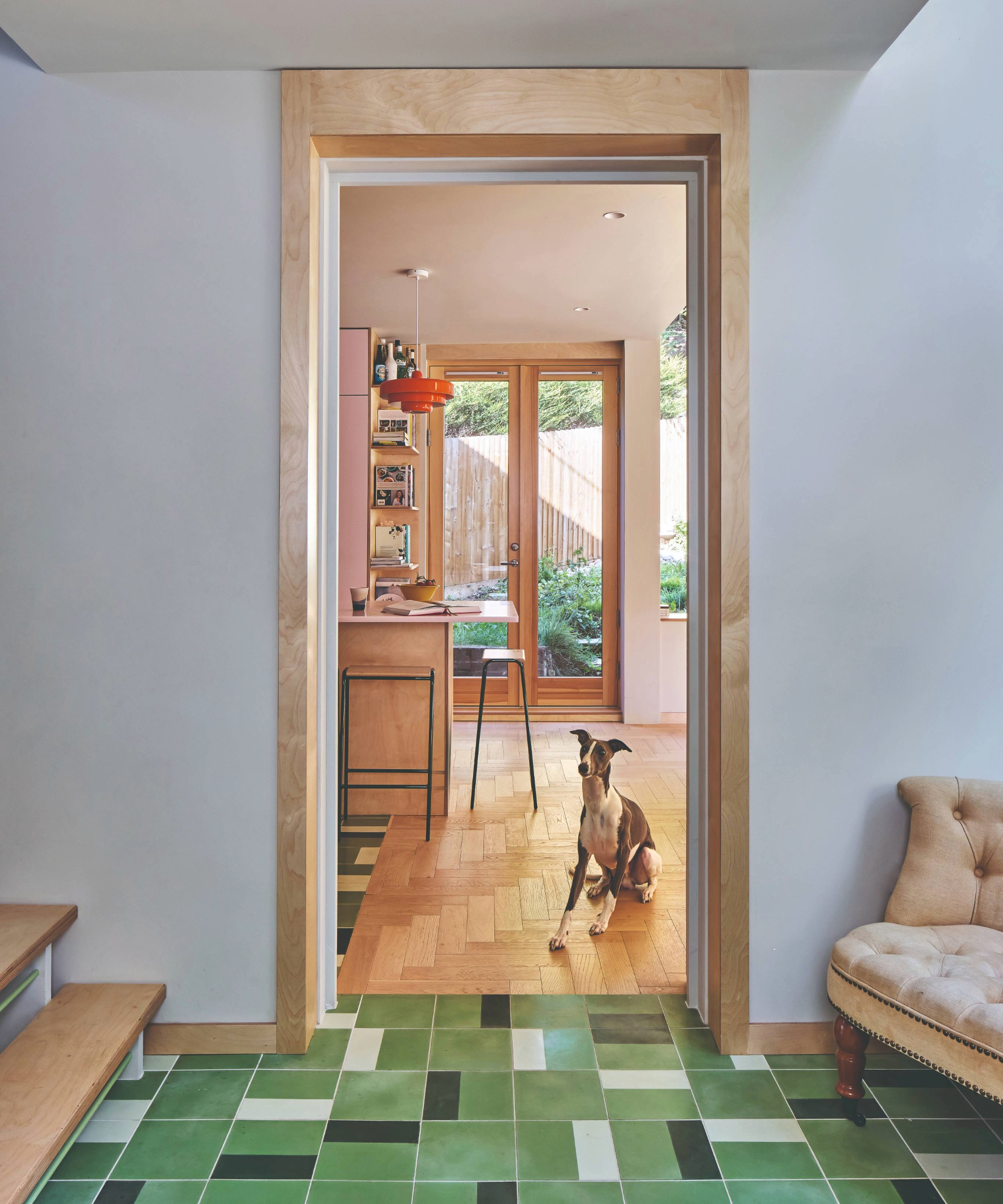 View of the kitchen from the hallway, with a dog sitting in the doorway