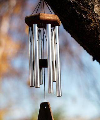 A windchime hanging in a tree to act as a deterrent to birds