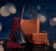 Aspinal bags