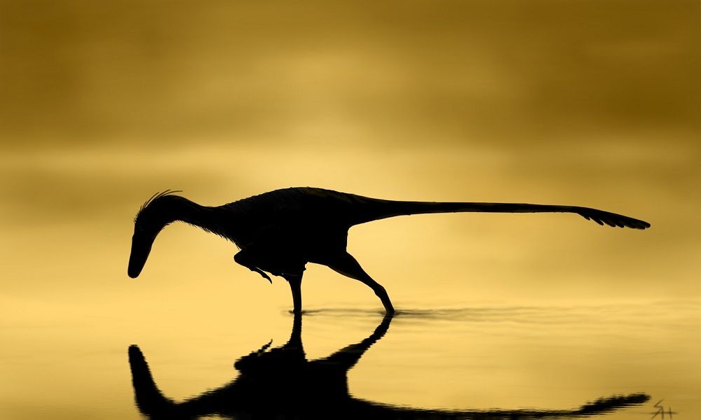 A silhouetted dinosaur is fishing in a yellow background. 