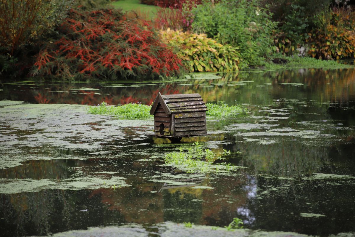Compared with the previous shot, this one taken at 150mm demonstrates the overall zoom range