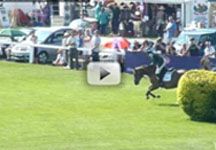 hickstead_speed_derby.jpg