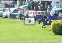 hickstead_speed_derby.jpg
