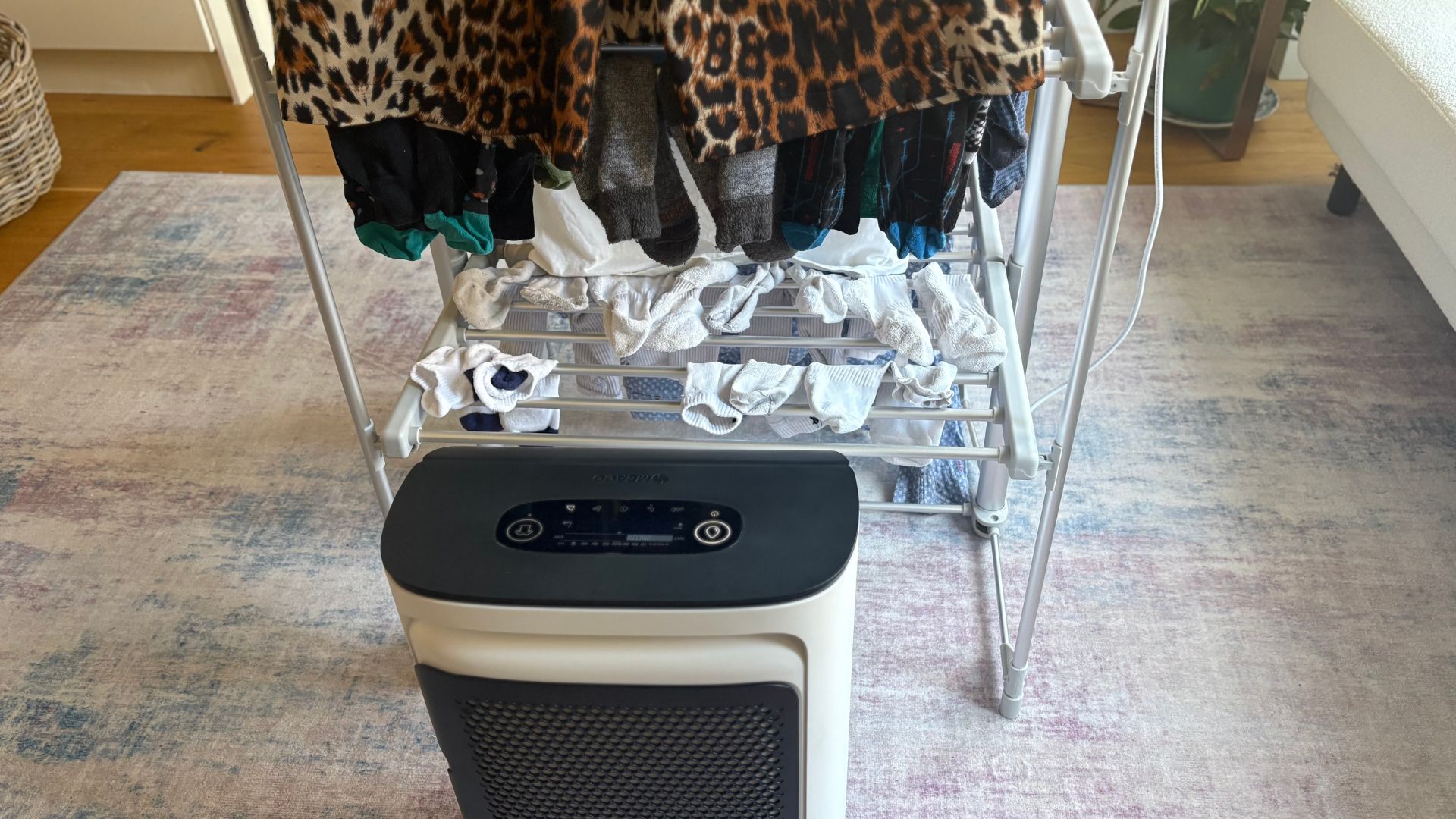 Testing the Meaco's Drying Method in Laura's home with a heated airer and the Dyson fan