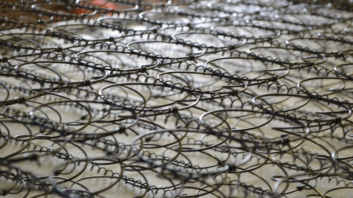 Bed Squeaks Every Time I Move at Michael Washington blog