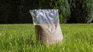 A bag of grass seed on a lawn