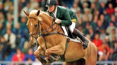 GettyImages-542922587.jpg