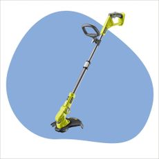 Graphic of the best cordless strimmer overall