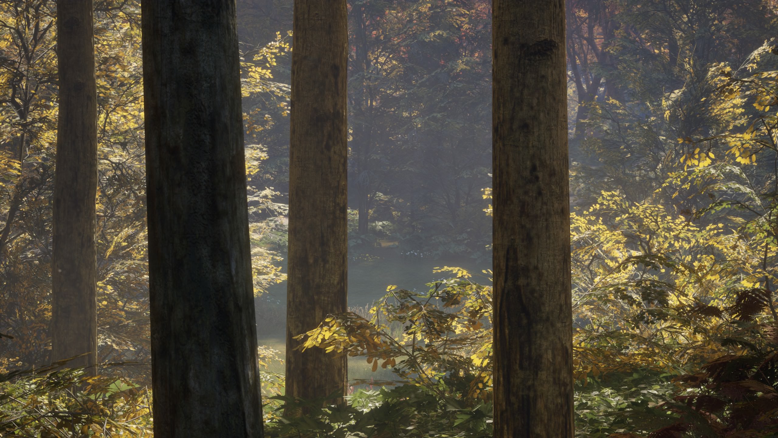 Screenshot by Paizon Ryker. See more on Imgur.