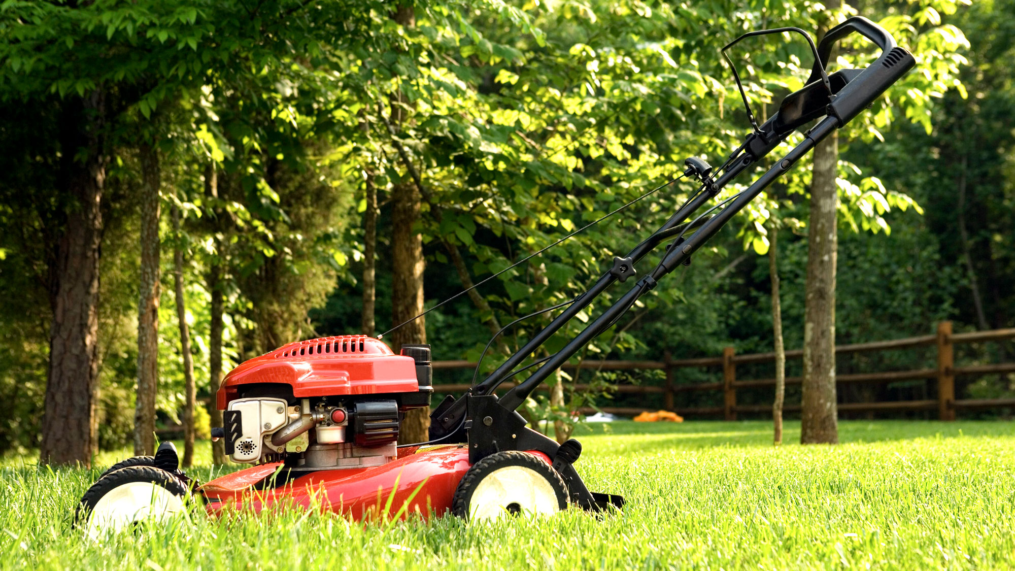 lawn mower on green grass in backyard