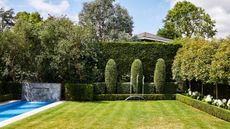 monty don hedge trimming tips