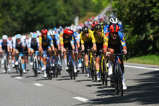 The Lidl-Trek team lead the peloton earlier in the stage