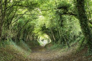 Halnaker tunnel in south downs