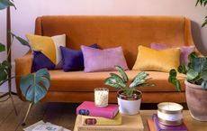 orange sofa in a colourful living room with multi coloured cushions and books and plants on a coffee table
