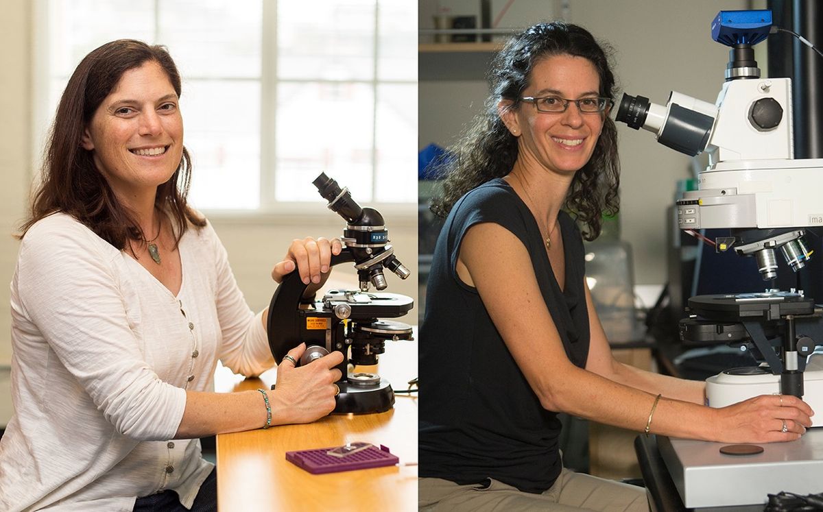 MacArthur Fellows and biologists Victoria Orphan (left) and Dianne Newman (right).