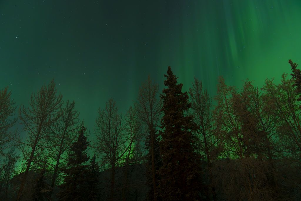 northern lights above alaska during new year's celebrations. large ribbons of green light dance through the sky.