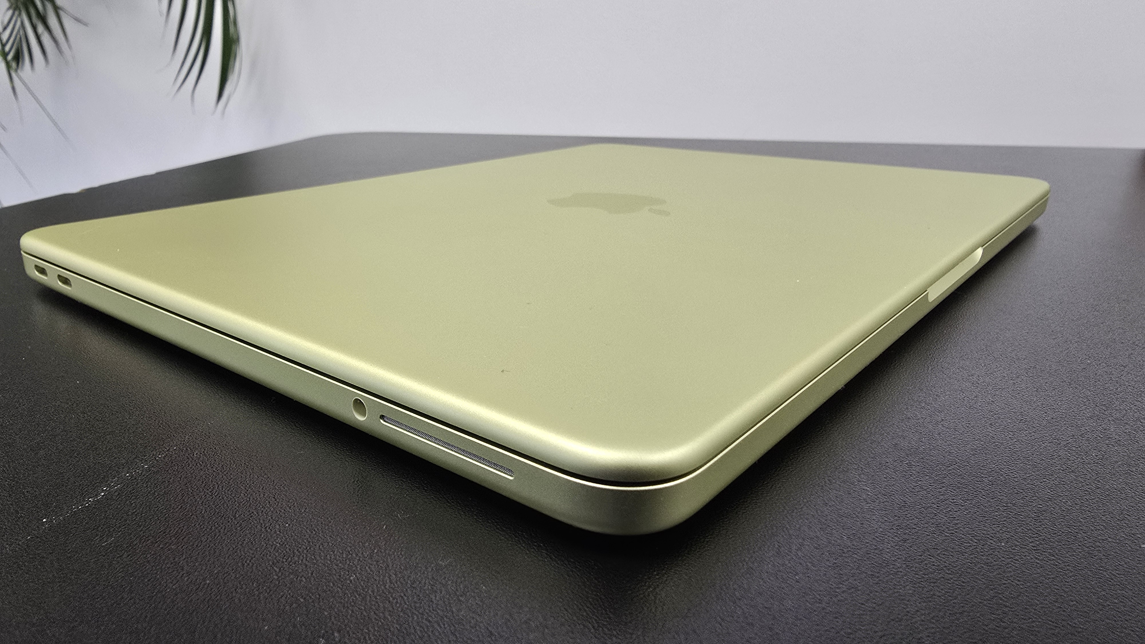 MacBook Neo laptop on a desk with plant in background
