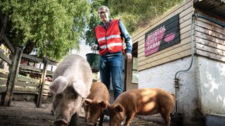 Greg (Stephen Merchant) in a hi-vis jacket stands in a pig pen with pigs in The Outlaws.
