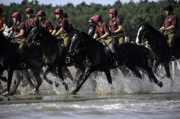 Swapping tarmac for sand, the annual trip to Holkham in North Norfolk is a change of scene for soldiers and horses alike