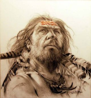 an illustration of a Neanderthal face