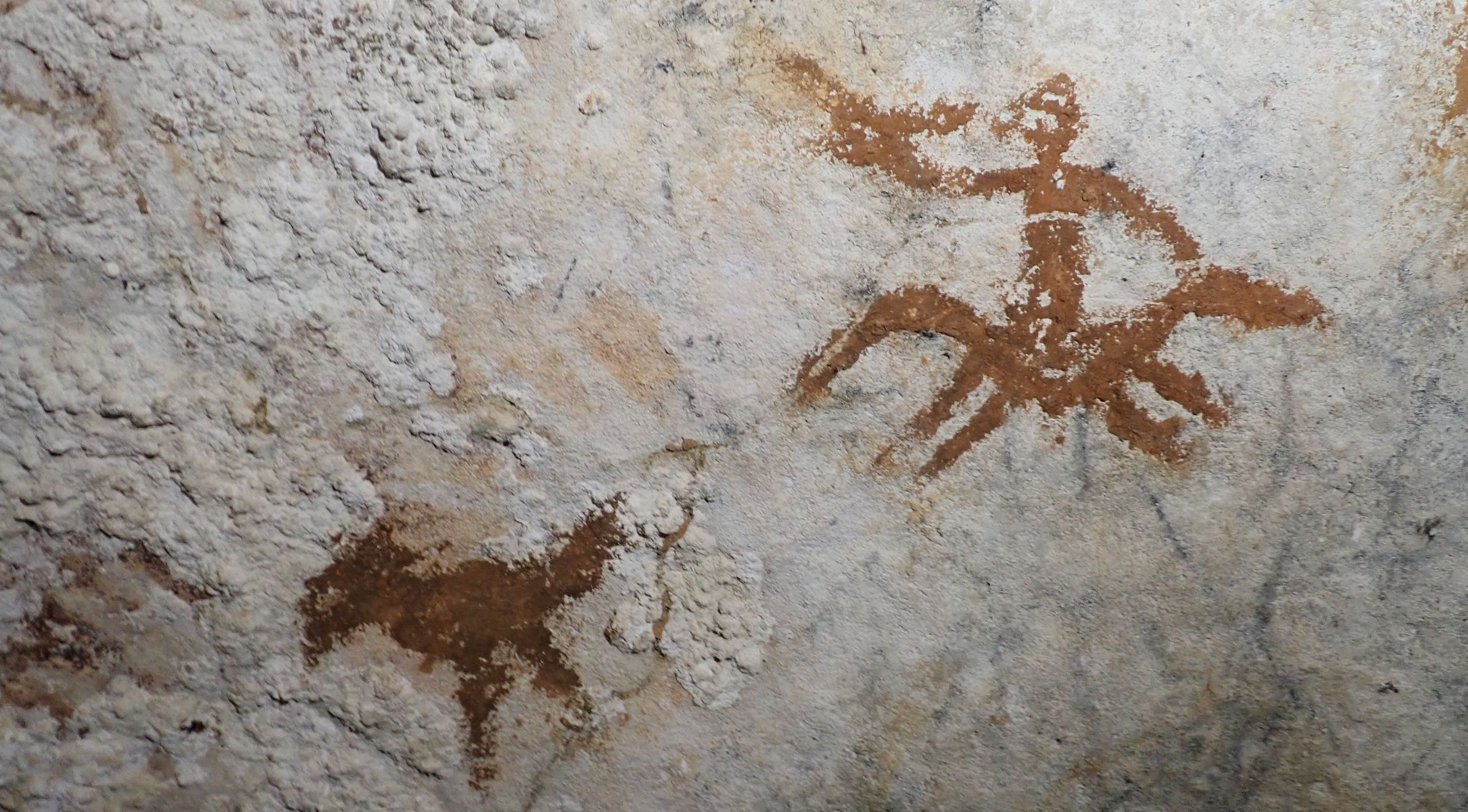 World's oldest known rock art predates modern humans' entrance into Europe — and it was found in an Indonesian cave" target="_self"…