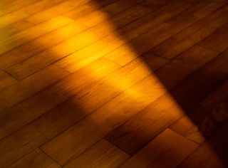 Hardwood floor with sunlight