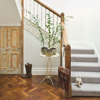 staircase with wooden door handrail and potted plants