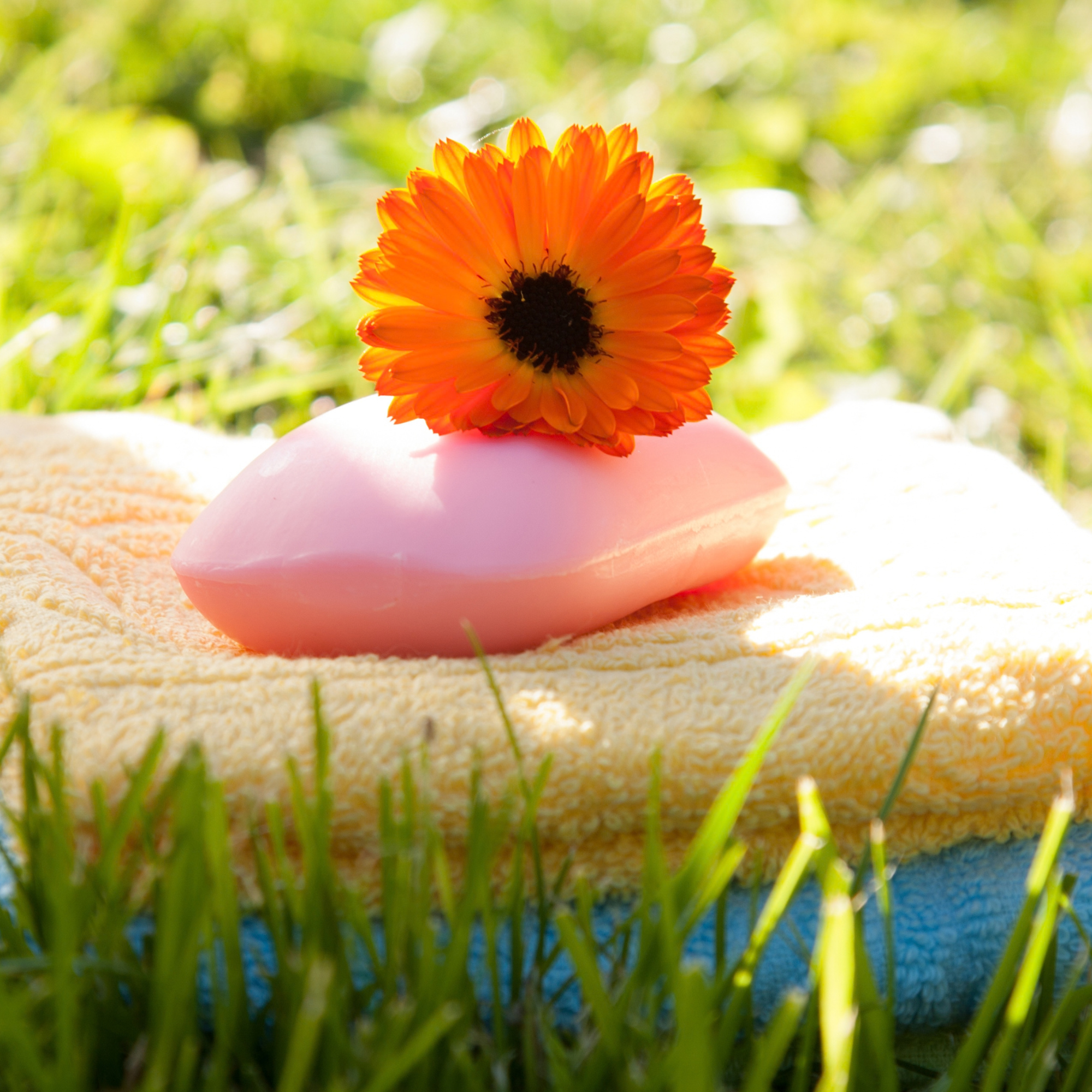 Bright colored garden towels on a garden lawn with a gerbera daisy stacked on top of them.