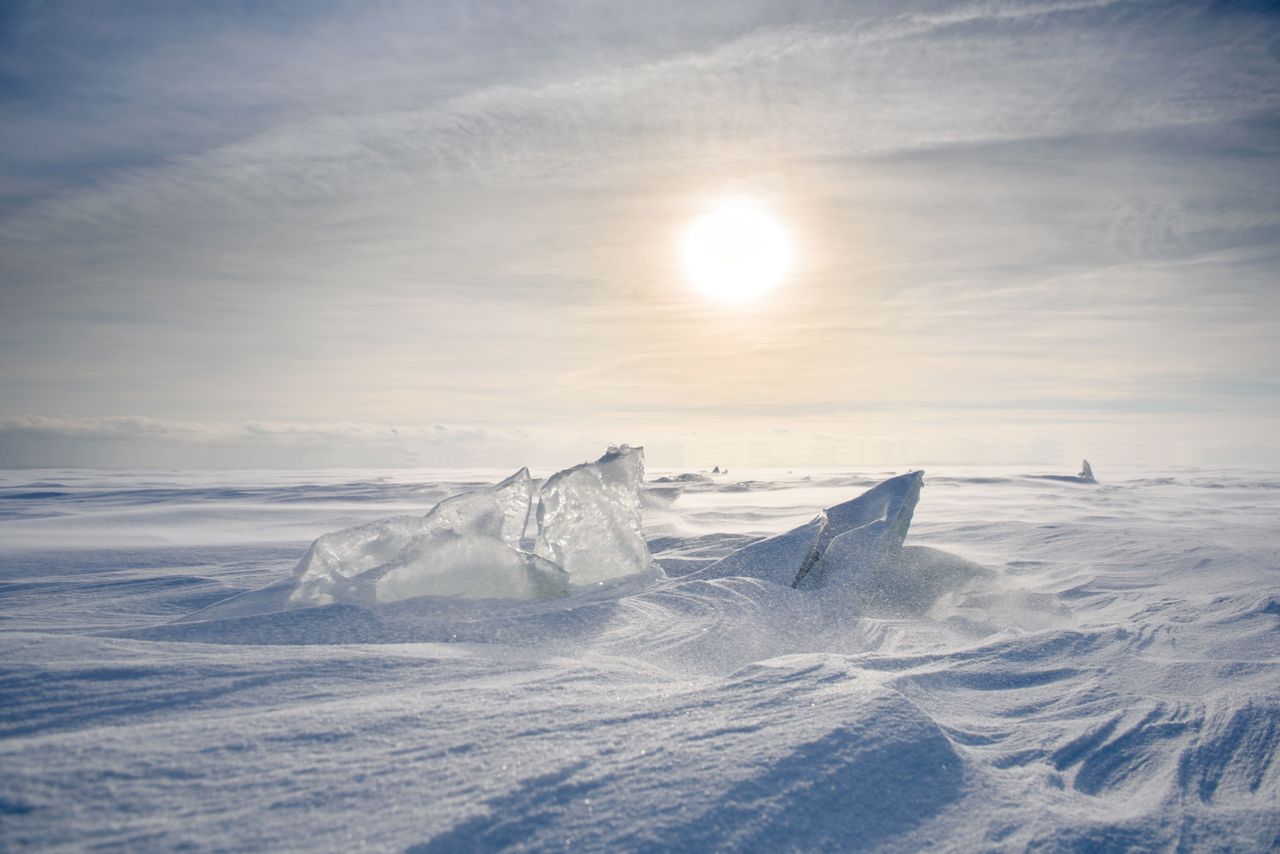 Antarctica.