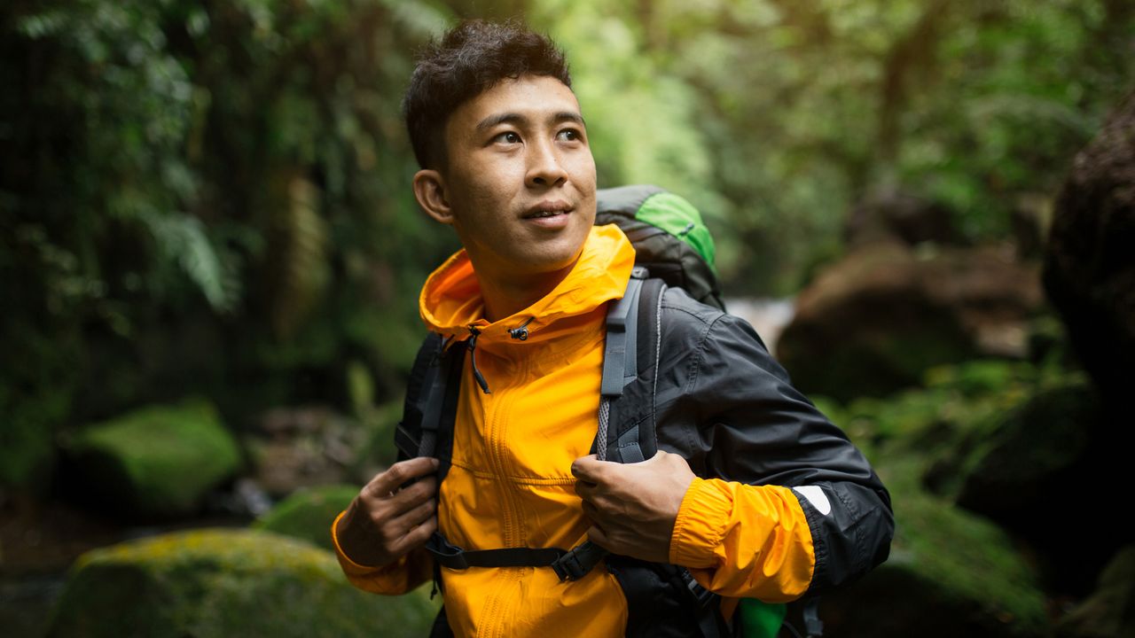 Man hiking in a forest