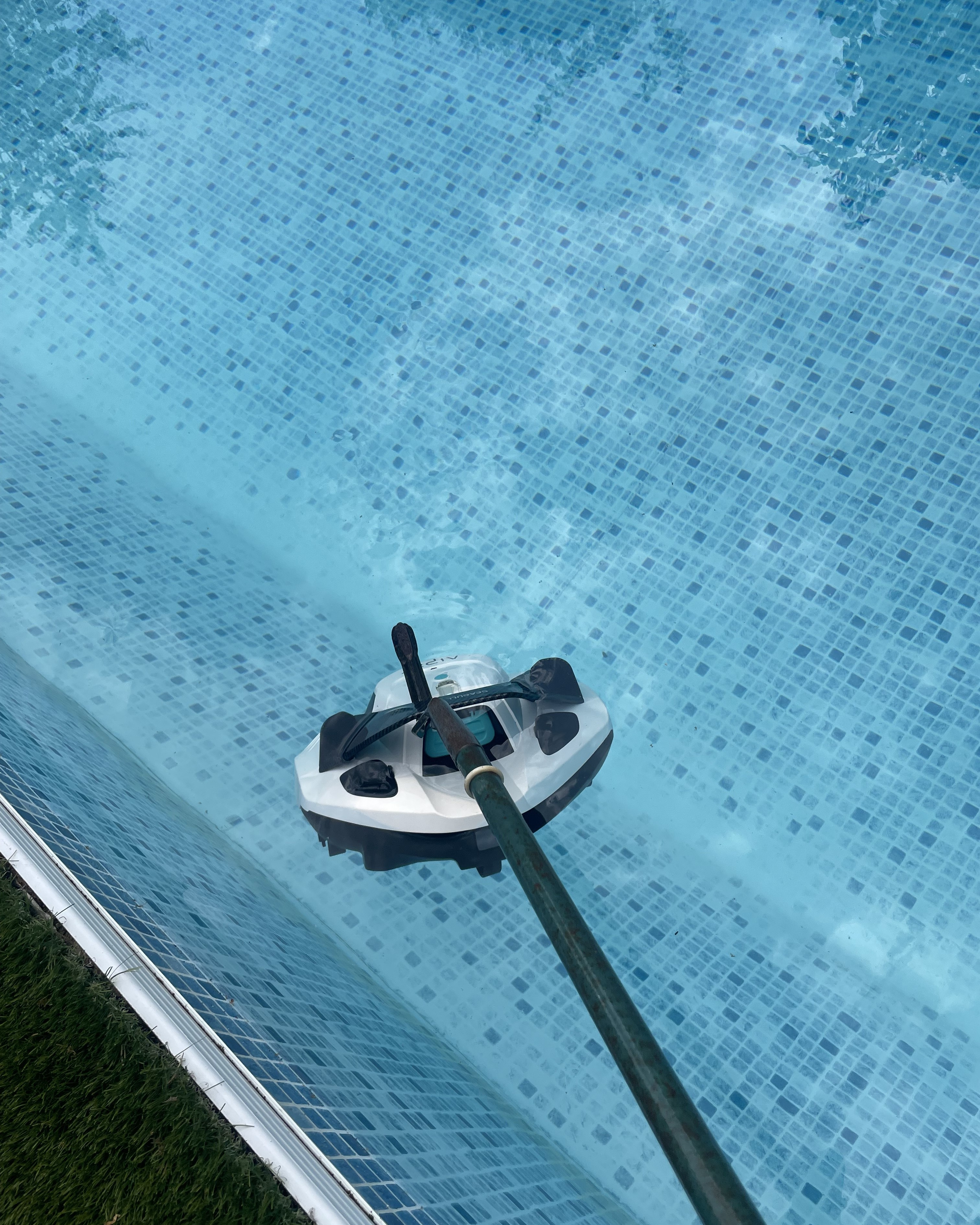 A pool cleaner being taken out of a pool