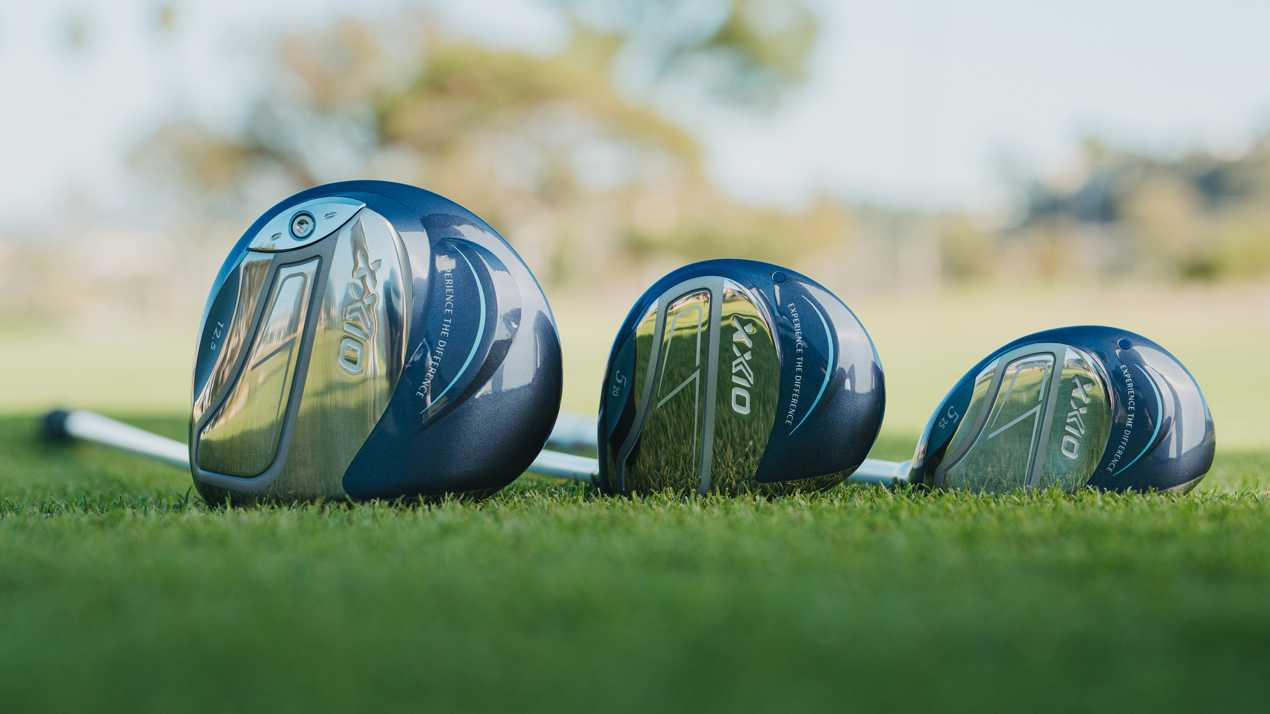 XXIO 14 women&#039;s family metalwoods