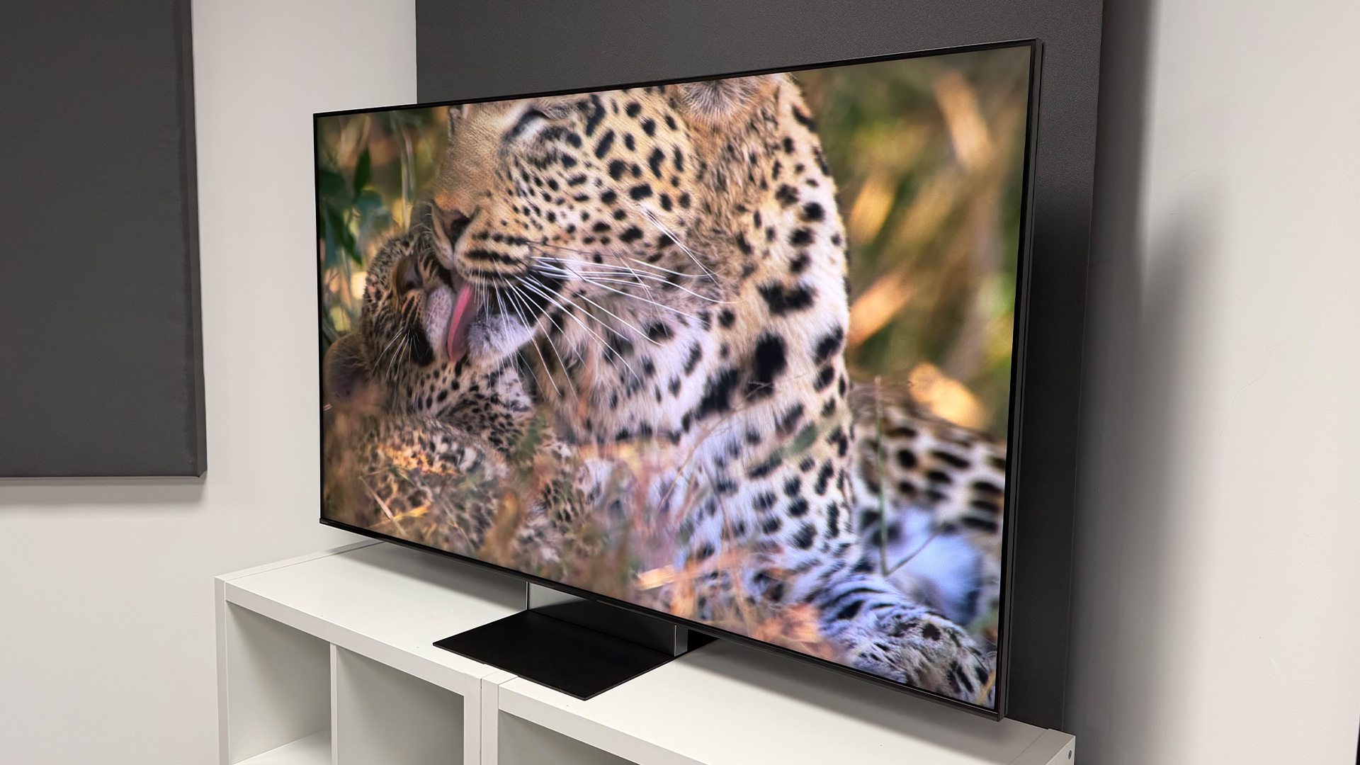 Sony Bravia 9 II RGB Mini LED TV on white shelving unit slight angle from right with big cats on screen